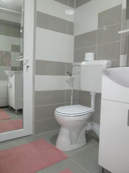 טרגובישטה Apartament Sarra מראה חיצוני תמונה